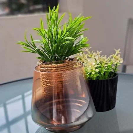 Edgar's Center アパート ティラナ